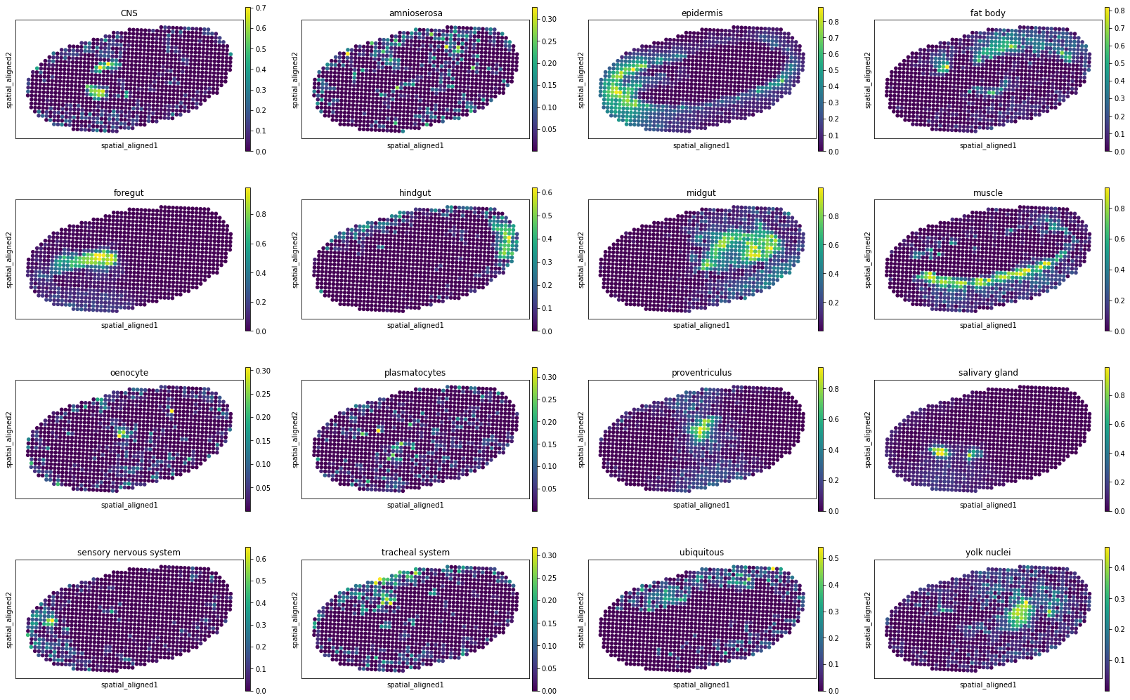 ../../_images/tutorials_Drosophila_embryo_STitch3D_Drosophila_embryo_20_11.png