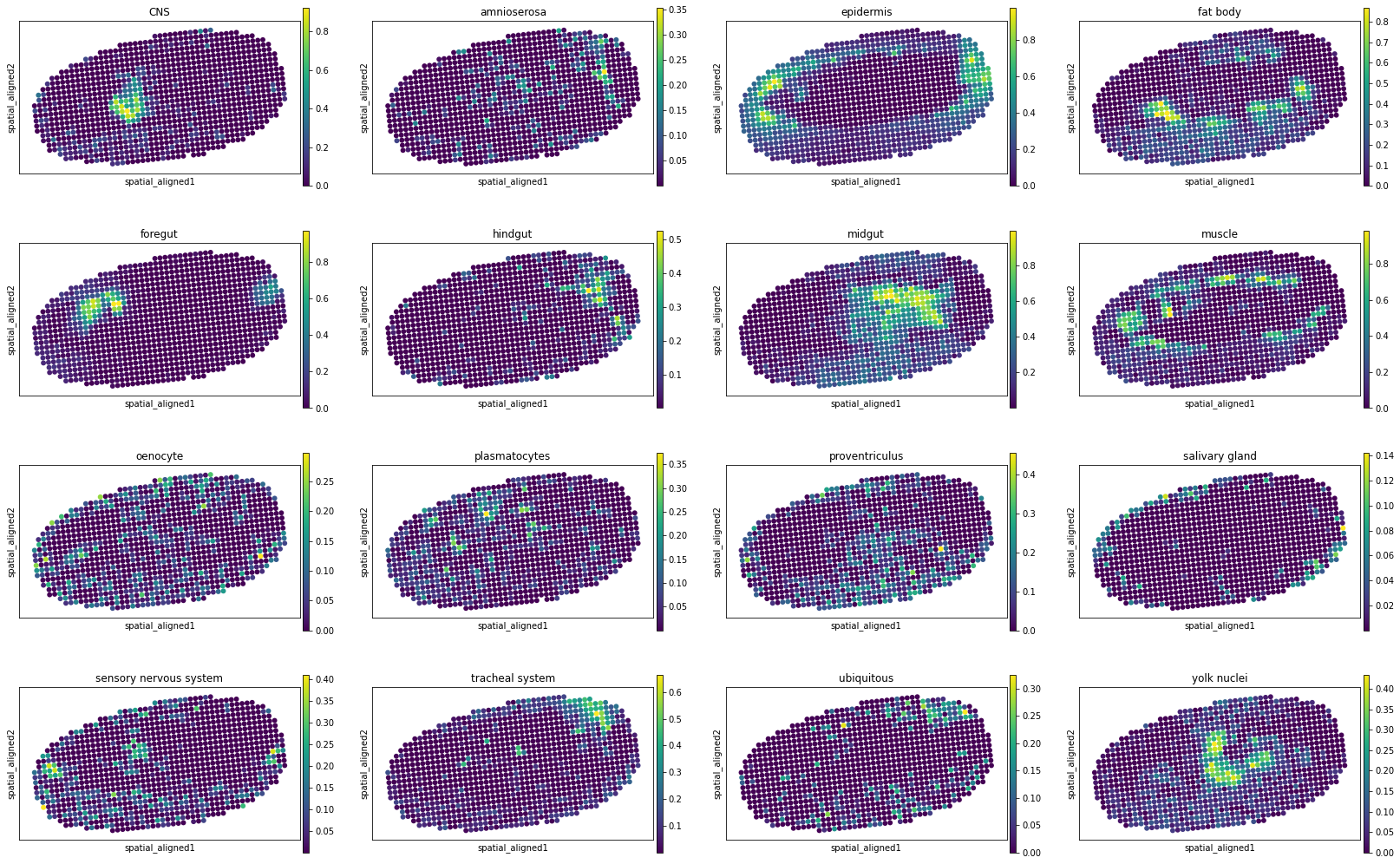 ../../_images/tutorials_Drosophila_embryo_STitch3D_Drosophila_embryo_20_25.png