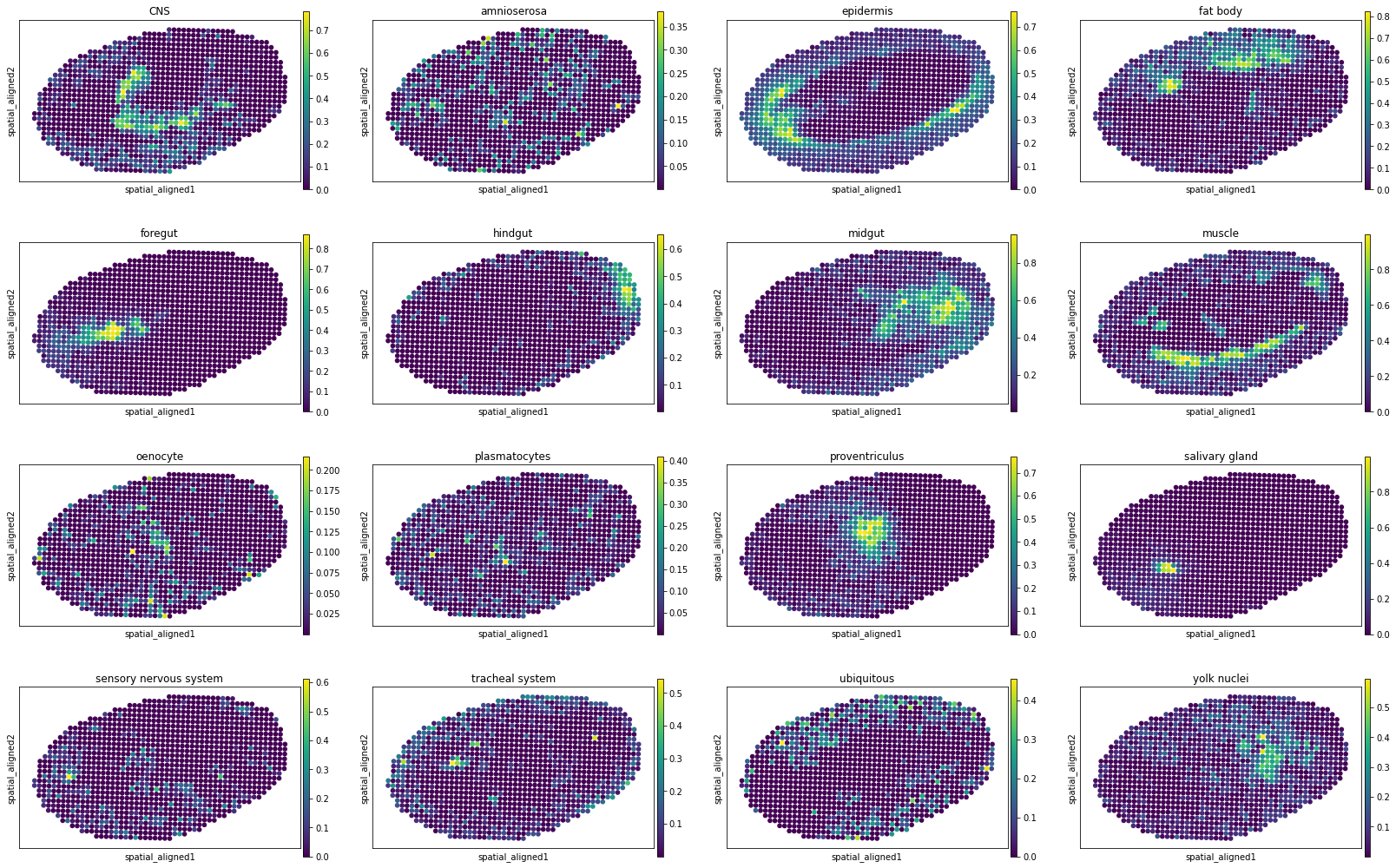 ../../_images/tutorials_Drosophila_embryo_STitch3D_Drosophila_embryo_20_9.png